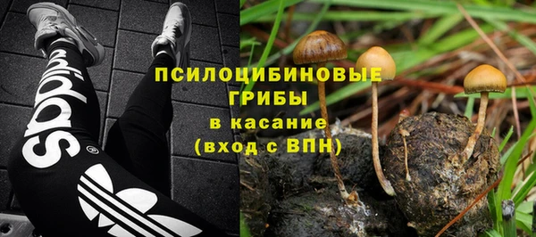 гидропоника Инсар