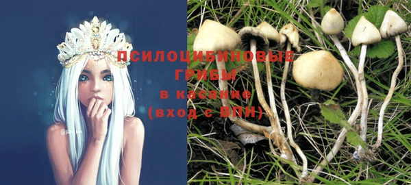 кристаллы Инта