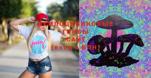 прущая мука Каменка