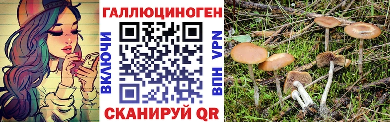 Псилоцибиновые грибы прущие грибы  Купить где  Новоалександровск 